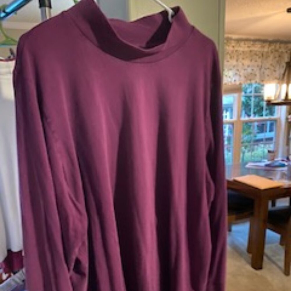 Plus Size Woman's mock t neck